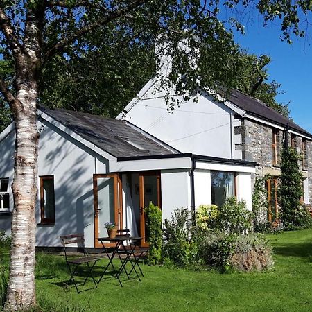 Nant Yr Onnen B&B And Holiday Cottage Tregaron Exterior photo