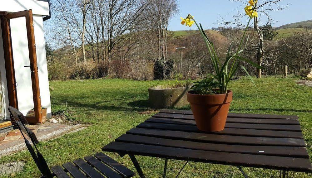 Nant Yr Onnen B&B And Holiday Cottage Tregaron Exterior photo