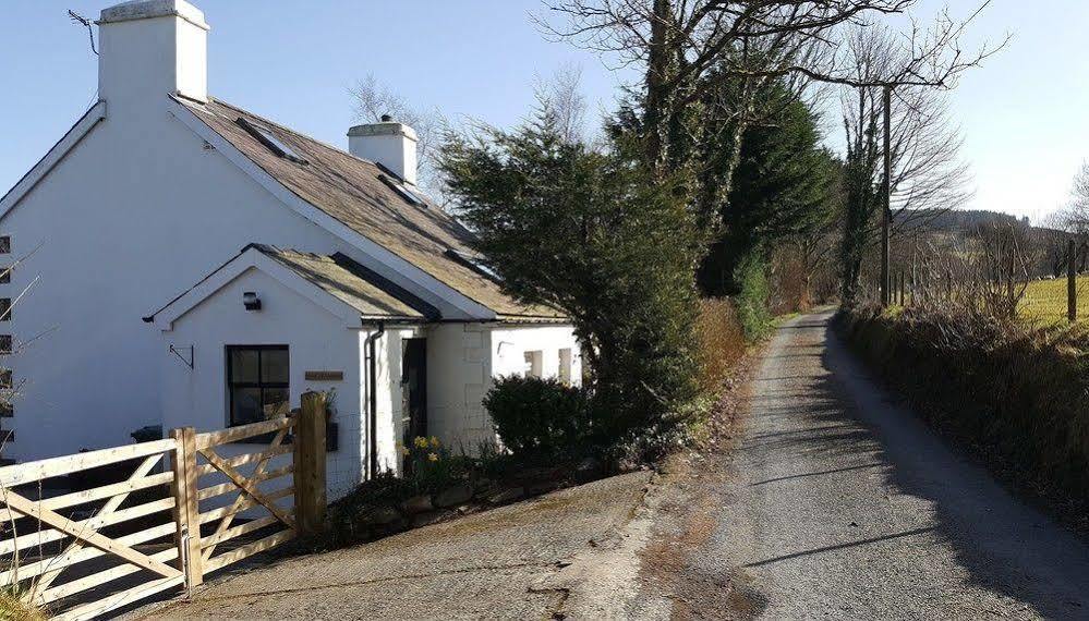 Nant Yr Onnen B&B And Holiday Cottage Tregaron Exterior photo