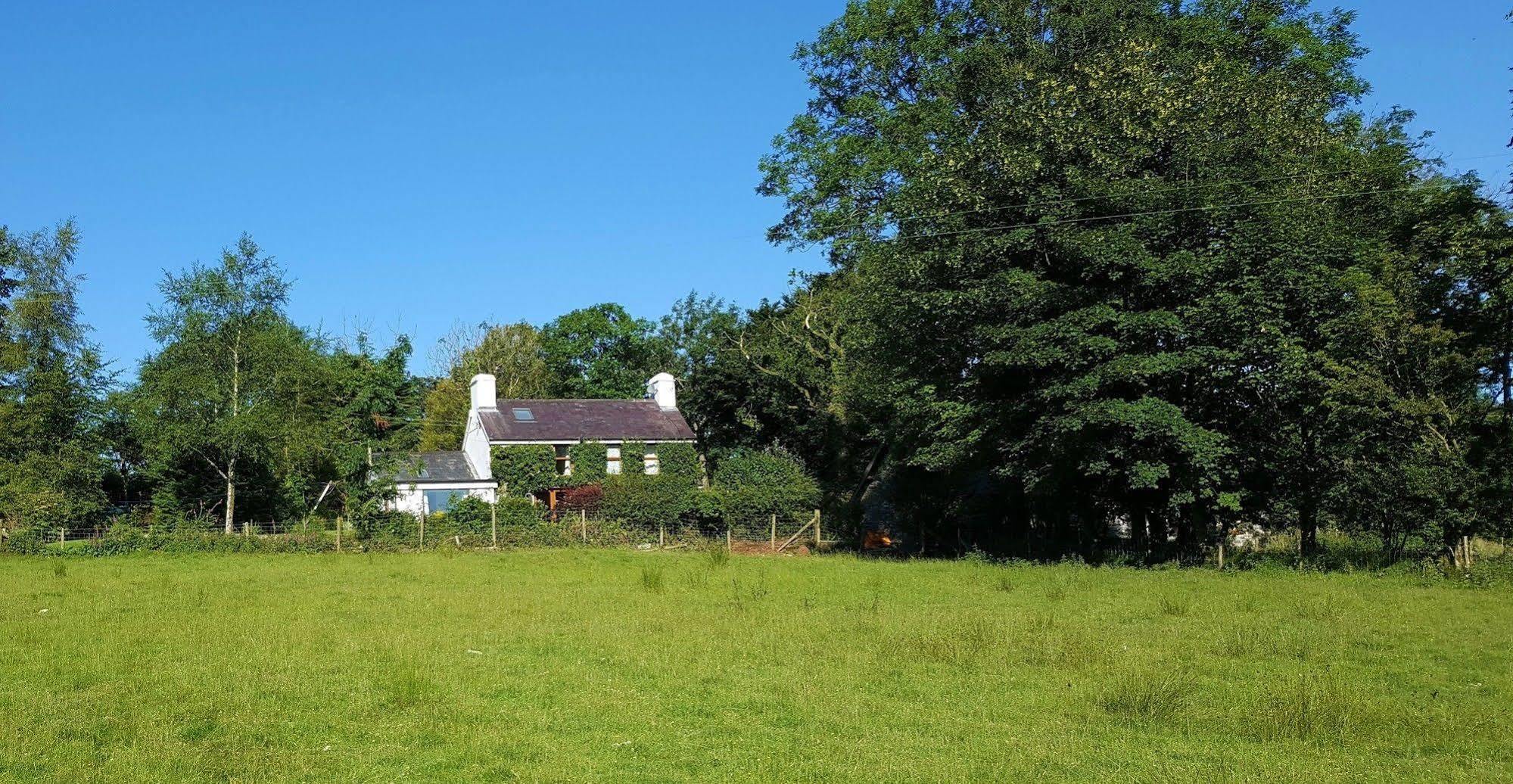 Nant Yr Onnen B&B And Holiday Cottage Tregaron Exterior photo