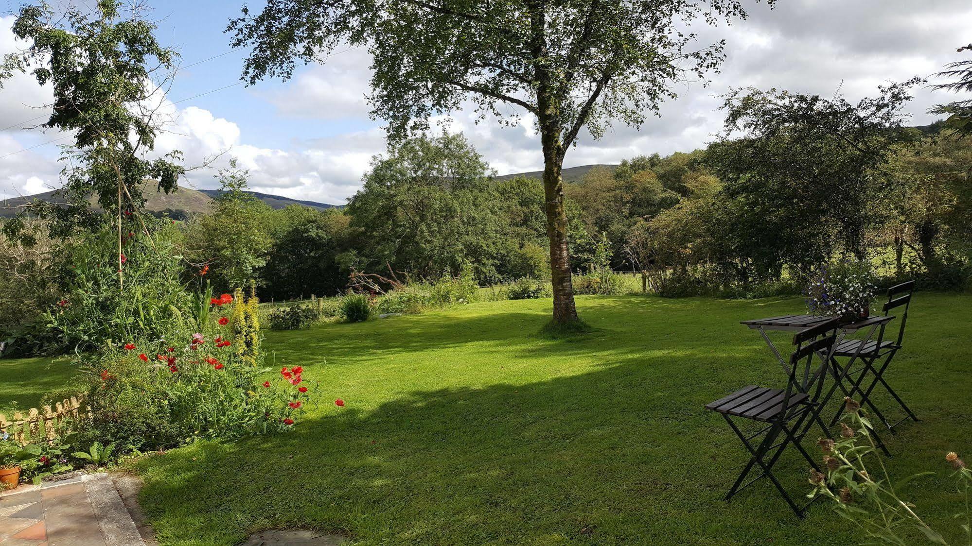 Nant Yr Onnen B&B And Holiday Cottage Tregaron Exterior photo