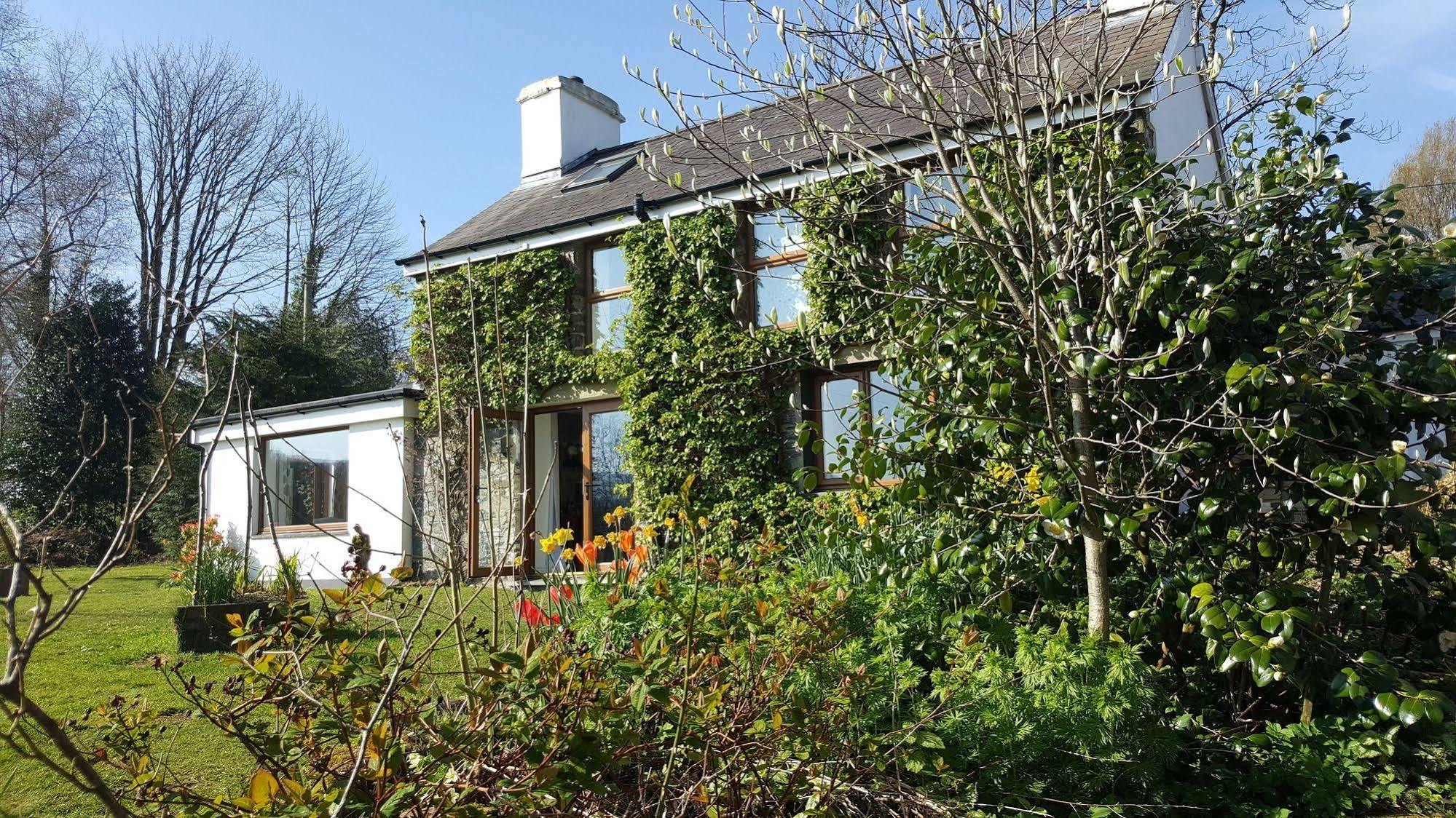 Nant Yr Onnen B&B And Holiday Cottage Tregaron Exterior photo