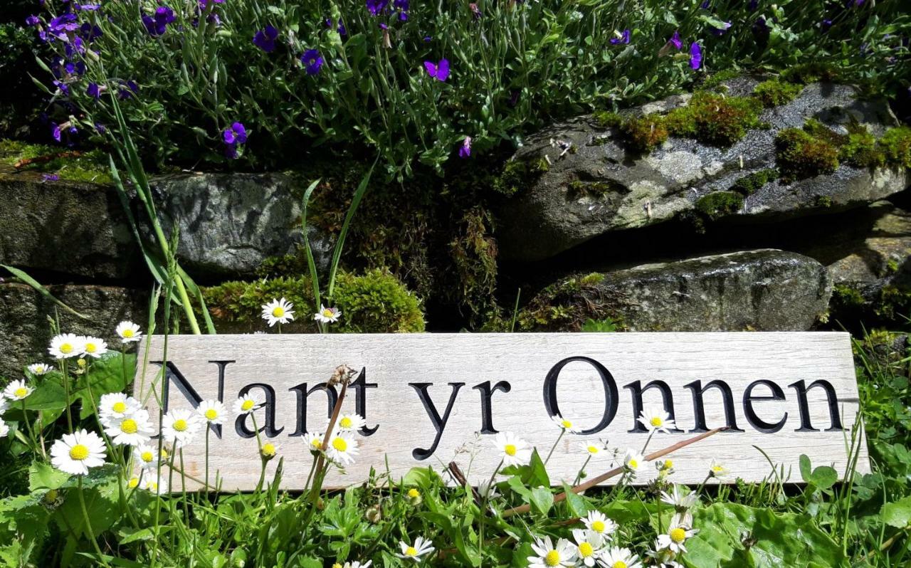 Nant Yr Onnen B&B And Holiday Cottage Tregaron Exterior photo